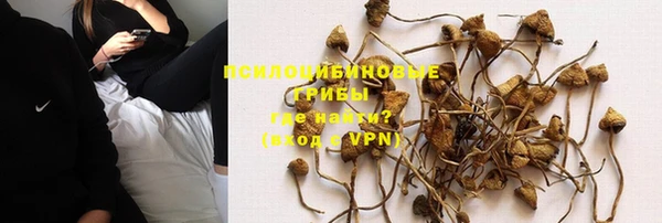 винт Армянск