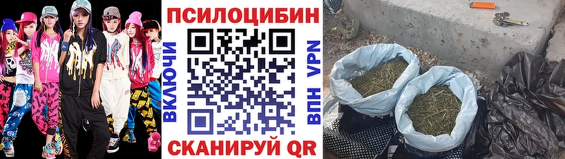 где купить наркоту  Пролетарск  Псилоцибиновые грибы прущие грибы 