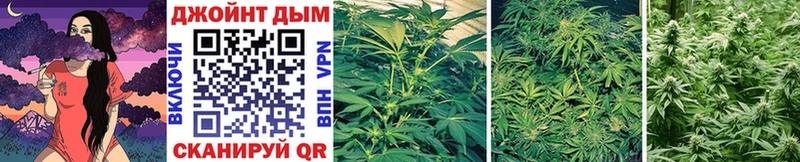 купить наркотики цена  МЕГА зеркало  Бошки марихуана White Widow  даркнет Telegram  Пролетарск 